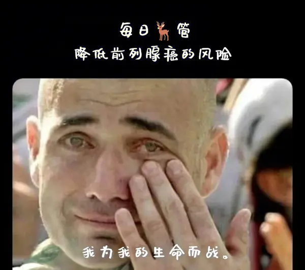 今日沙雕：如果天子是龙，那太子算不算奶龙宣传图232