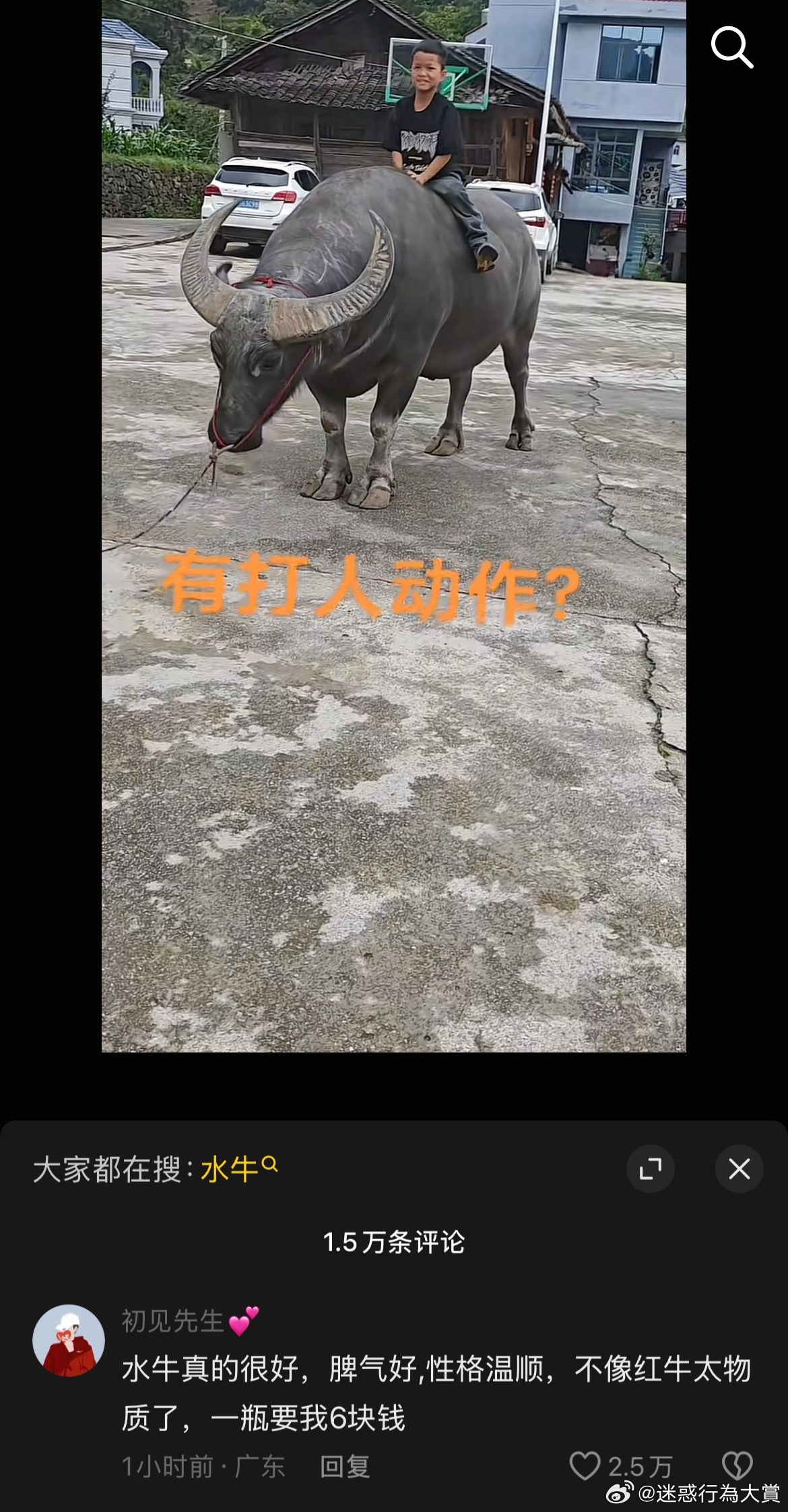 今日沙雕：如果天子是龙，那太子算不算奶龙宣传图358