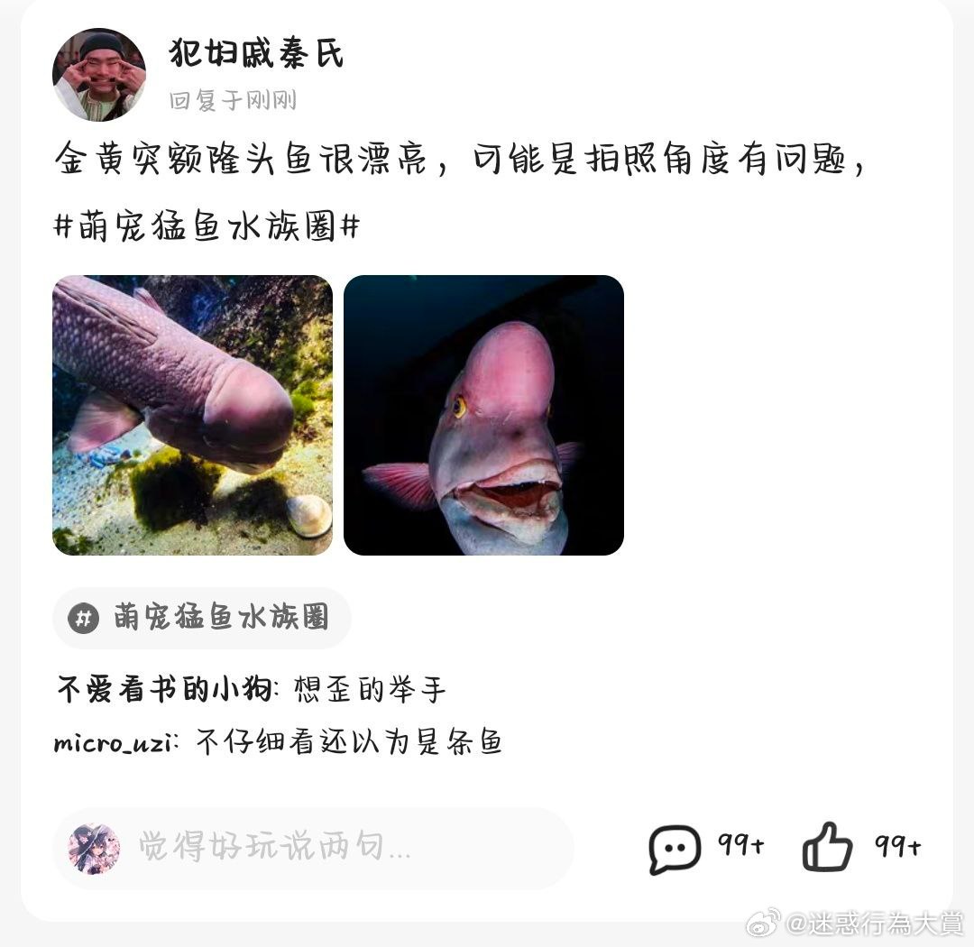 今日沙雕：如果天子是龙，那太子算不算奶龙宣传图364