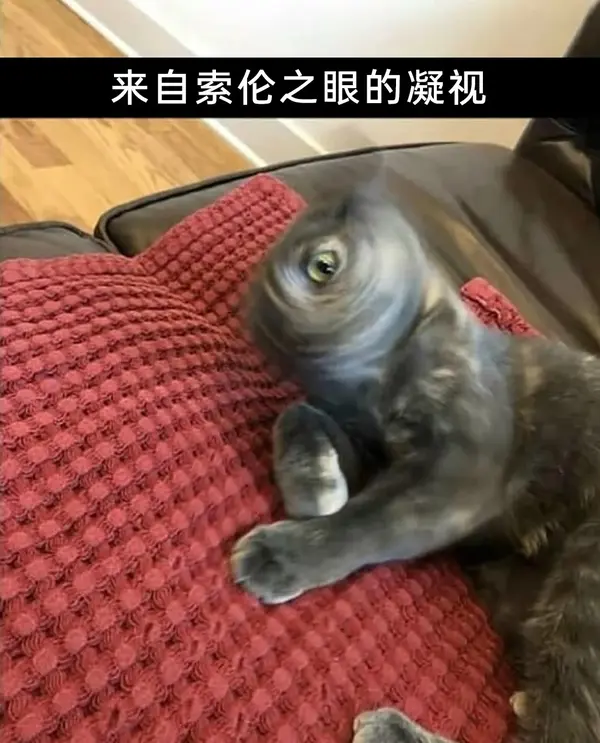 今日沙雕：把自己的棵体印在衣服上穿出去，算穿了衣服还是没穿衣服宣传图7