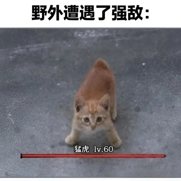 今日沙雕：把自己的棵体印在衣服上穿出去，算穿了衣服还是没穿衣服宣传图12