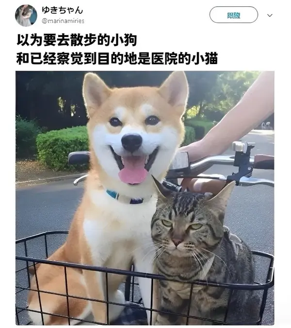 今日沙雕：把自己的棵体印在衣服上穿出去，算穿了衣服还是没穿衣服宣传图13