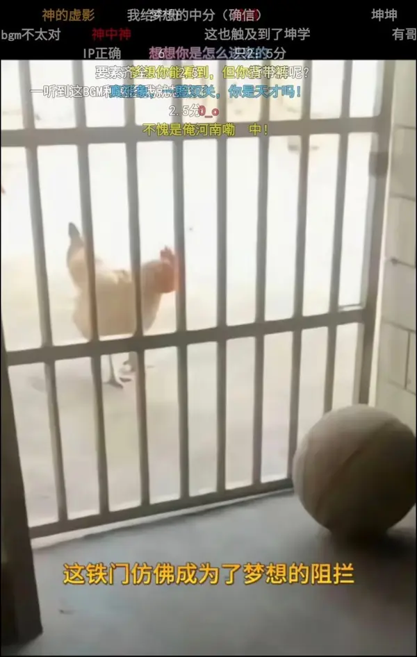 今日沙雕：把自己的棵体印在衣服上穿出去，算穿了衣服还是没穿衣服宣传图49