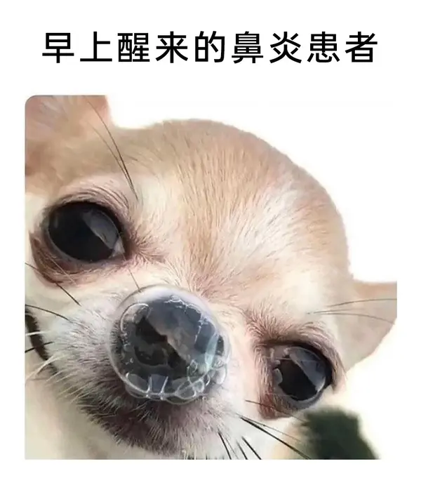 今日沙雕： 饮水机其实是出水机，而你才是饮水机宣传图11