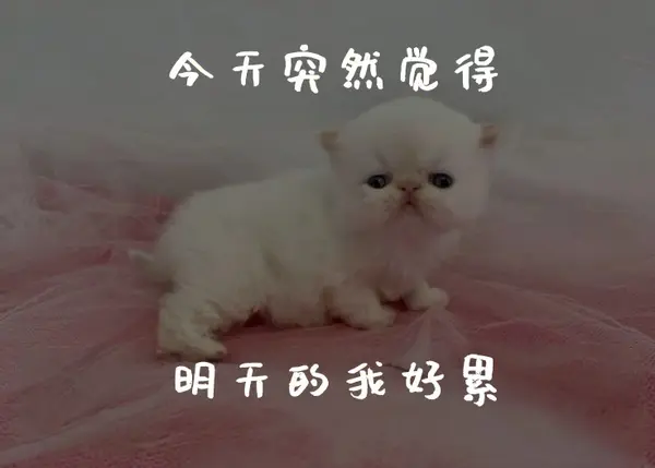今日沙雕： 饮水机其实是出水机，而你才是饮水机宣传图61