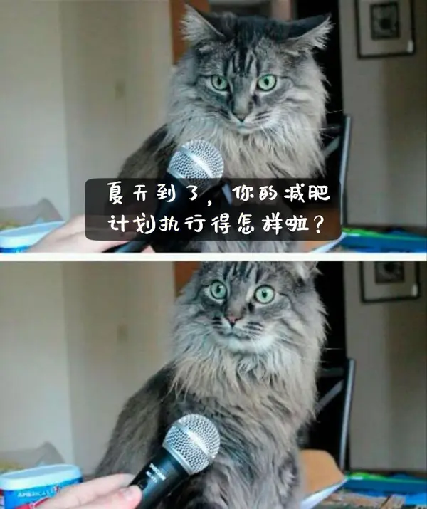 今日沙雕： 饮水机其实是出水机，而你才是饮水机宣传图66