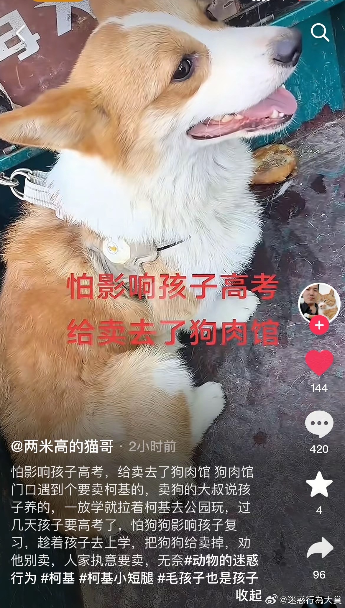 今日沙雕： 饮水机其实是出水机，而你才是饮水机宣传图106