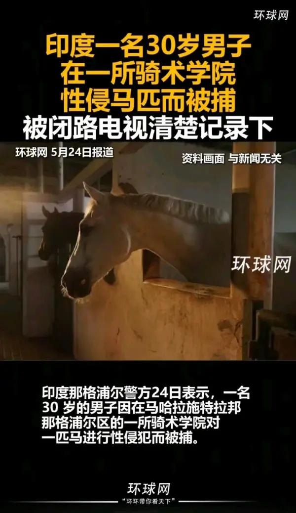 今日沙雕： 戒色宣言算不算是一种无慰契约？宣传图43