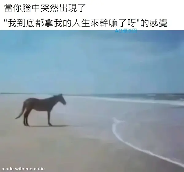今日沙雕： 监考老师发现考生忘记带笔，当场宣判其构成丢失枪支不报罪宣传图4