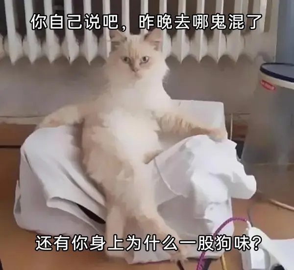 今日沙雕： 监考老师发现考生忘记带笔，当场宣判其构成丢失枪支不报罪宣传图16