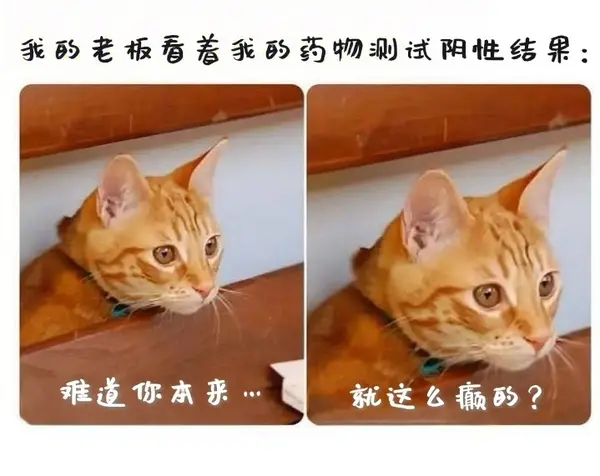 今日沙雕： 监考老师发现考生忘记带笔，当场宣判其构成丢失枪支不报罪宣传图54
