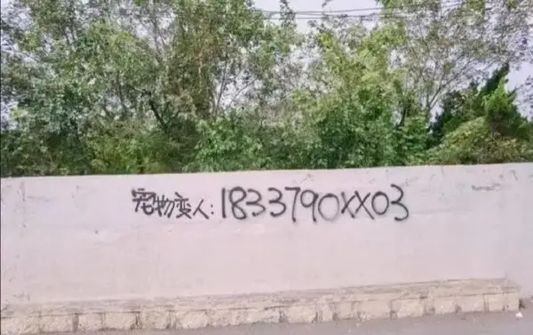 今日沙雕： 监考老师发现考生忘记带笔，当场宣判其构成丢失枪支不报罪宣传图67