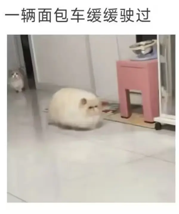 今日沙雕： 监考老师发现考生忘记带笔，当场宣判其构成丢失枪支不报罪宣传图89
