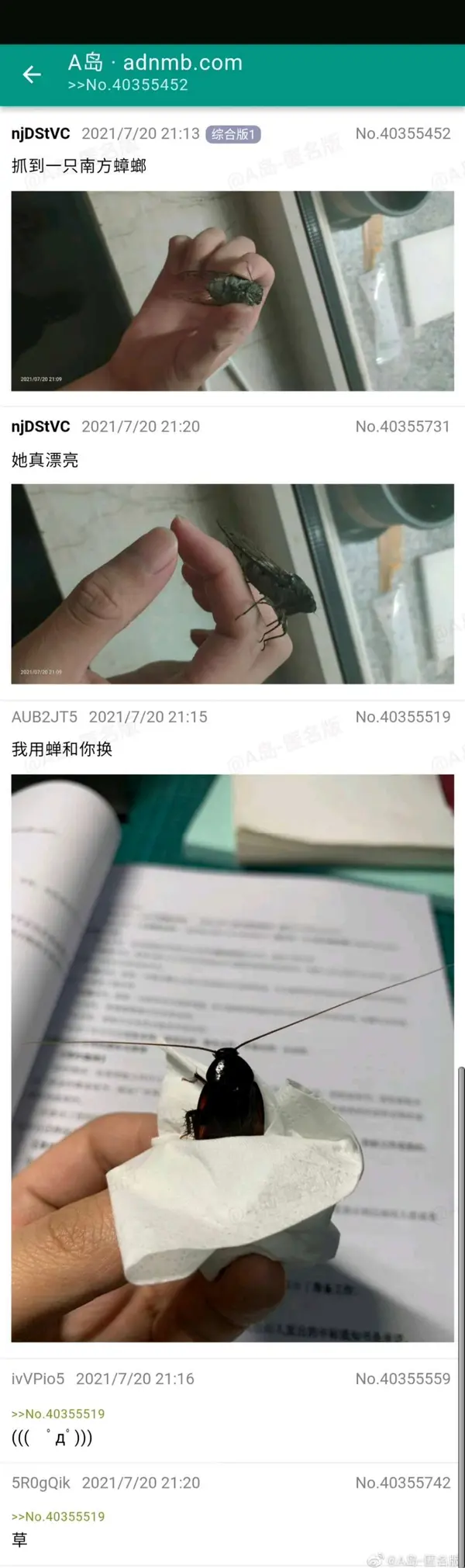 今日沙雕： 监考老师发现考生忘记带笔，当场宣判其构成丢失枪支不报罪宣传图144