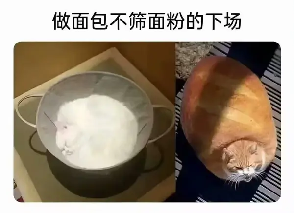 今日沙雕： 监考老师发现考生忘记带笔，当场宣判其构成丢失枪支不报罪宣传图146