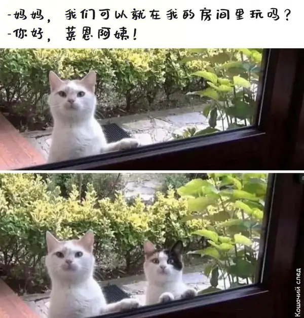 今日沙雕： 监考老师发现考生忘记带笔，当场宣判其构成丢失枪支不报罪宣传图161
