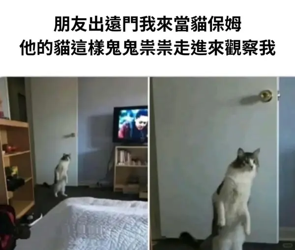 今日沙雕： 监考老师发现考生忘记带笔，当场宣判其构成丢失枪支不报罪宣传图191