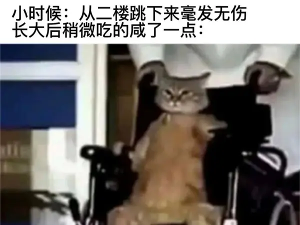 今日沙雕： 监考老师发现考生忘记带笔，当场宣判其构成丢失枪支不报罪宣传图219
