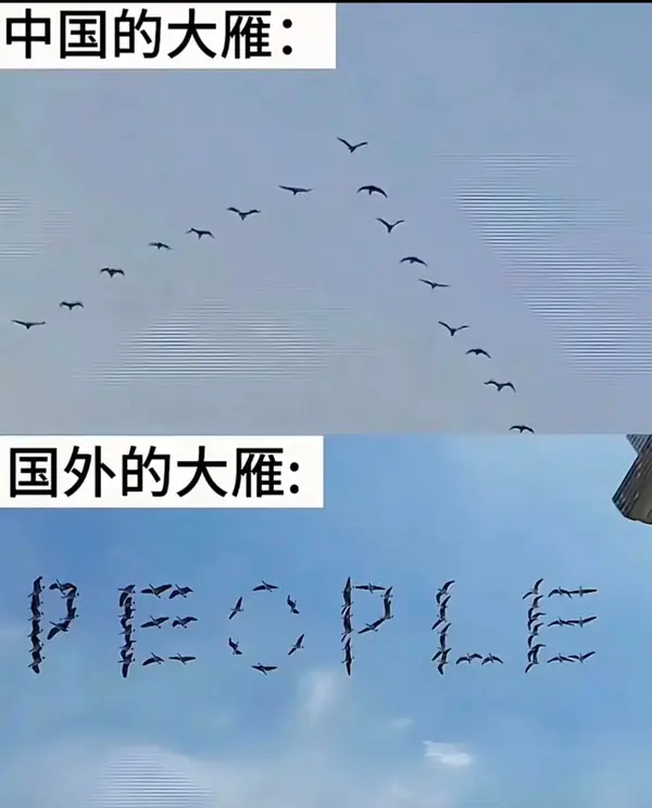 今日沙雕： 监考老师发现考生忘记带笔，当场宣判其构成丢失枪支不报罪宣传图236