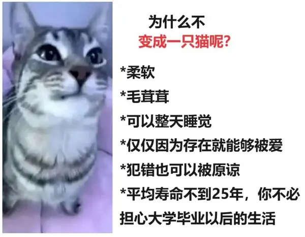 今日沙雕： 监考老师发现考生忘记带笔，当场宣判其构成丢失枪支不报罪宣传图254