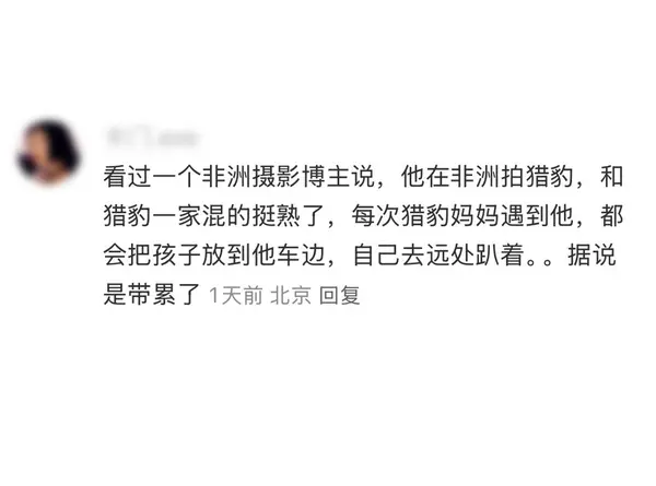 今日沙雕： 监考老师发现考生忘记带笔，当场宣判其构成丢失枪支不报罪宣传图296