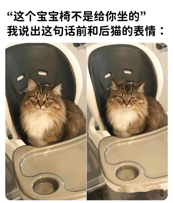 今日沙雕： 吃饭的时候是怎么知道嘴在哪里的我们又看不到宣传图22