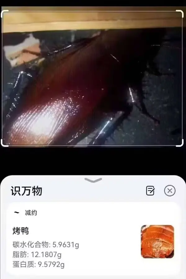 今日沙雕： 吃饭的时候是怎么知道嘴在哪里的我们又看不到宣传图25