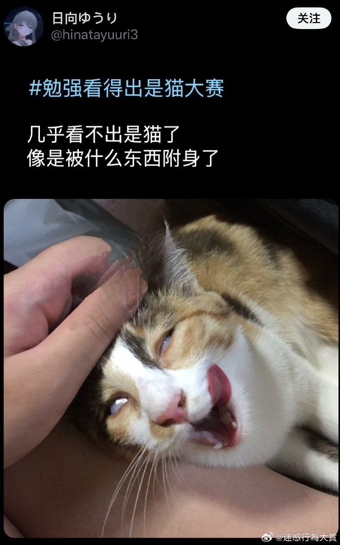 今日沙雕： 吃饭的时候是怎么知道嘴在哪里的我们又看不到宣传图30