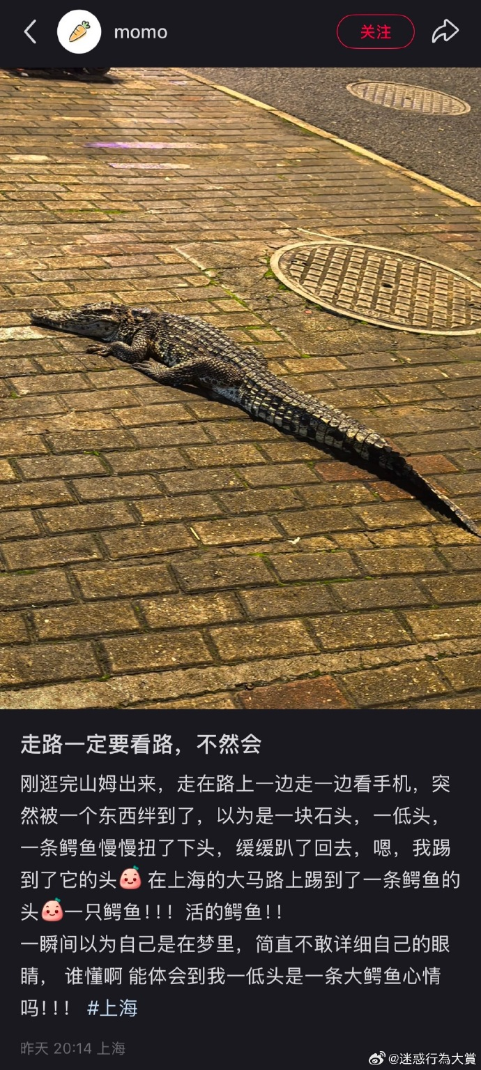 今日沙雕： 吃饭的时候是怎么知道嘴在哪里的我们又看不到宣传图37