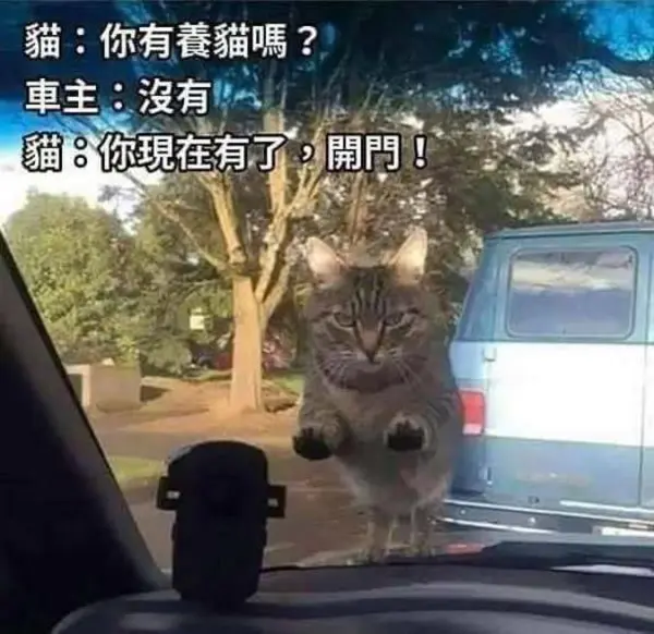 今日沙雕： 吃饭的时候是怎么知道嘴在哪里的我们又看不到宣传图85