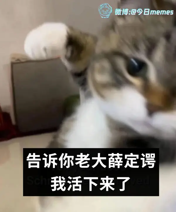 今日沙雕： 吃饭的时候是怎么知道嘴在哪里的我们又看不到宣传图91
