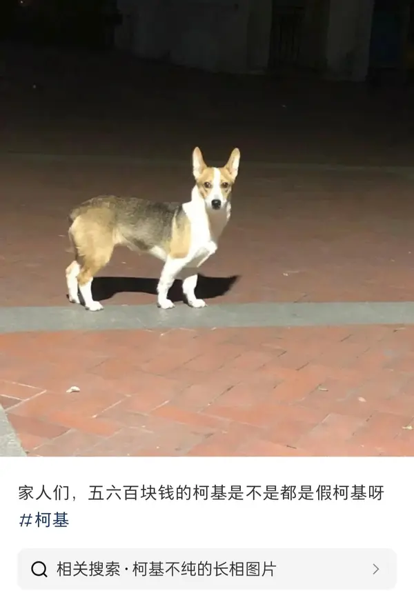 今日沙雕： “三秒内捡起来还能吃”赵云慌忙捡起阿斗宣传图13