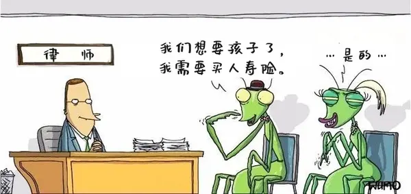 今日沙雕： “三秒内捡起来还能吃”赵云慌忙捡起阿斗宣传图58