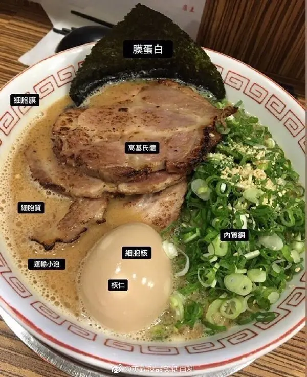 今日沙雕： “三秒内捡起来还能吃”赵云慌忙捡起阿斗宣传图79