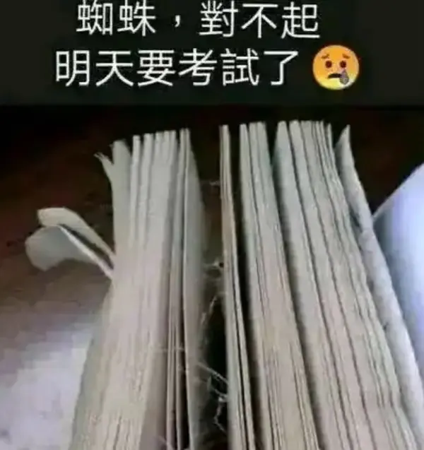 今日沙雕： “三秒内捡起来还能吃”赵云慌忙捡起阿斗宣传图82