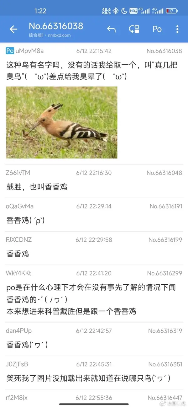 今日沙雕： 不是有首冲奖励吗，怎么我越冲越虚？宣传图6