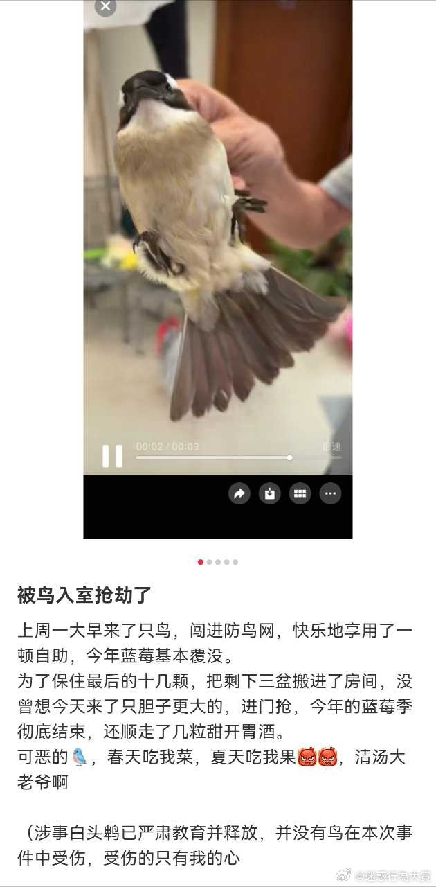 今日沙雕： 不是有首冲奖励吗，怎么我越冲越虚？宣传图16