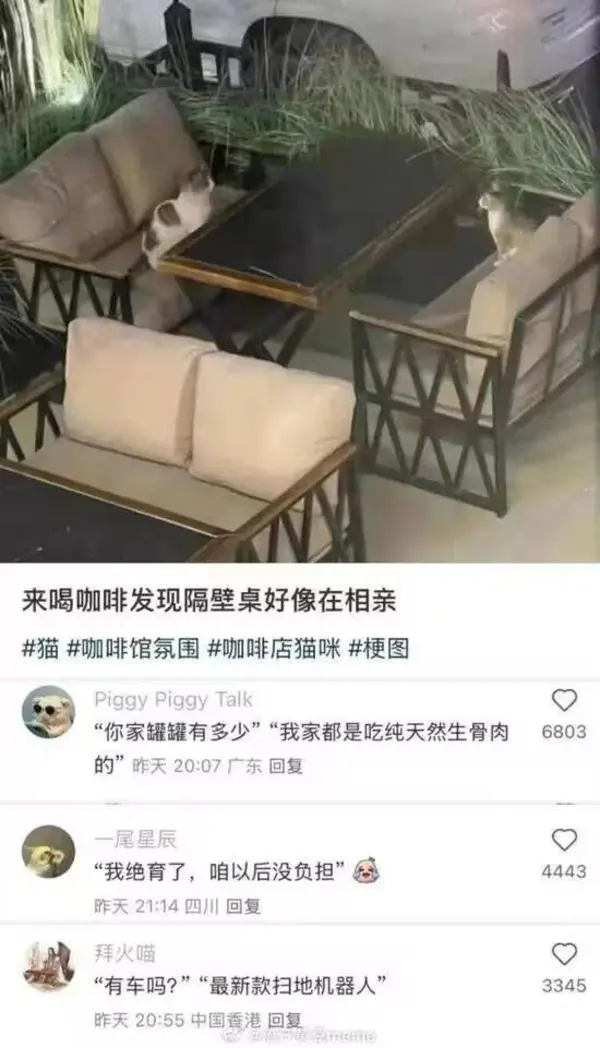 今日沙雕： 不是有首冲奖励吗，怎么我越冲越虚？宣传图35