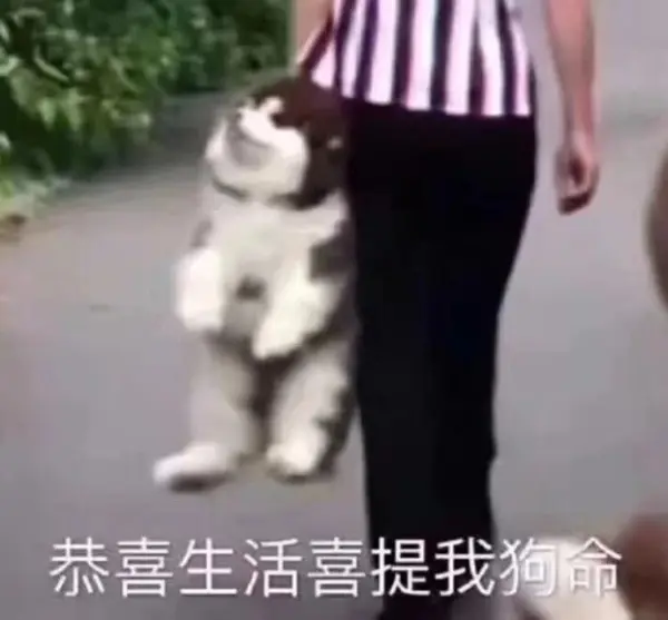 今日沙雕： 不是有首冲奖励吗，怎么我越冲越虚？宣传图49