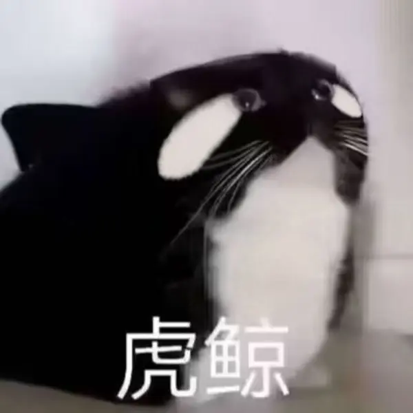 今日沙雕： 不是有首冲奖励吗，怎么我越冲越虚？宣传图51