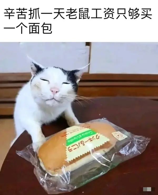 今日沙雕： 不是有首冲奖励吗，怎么我越冲越虚？宣传图65
