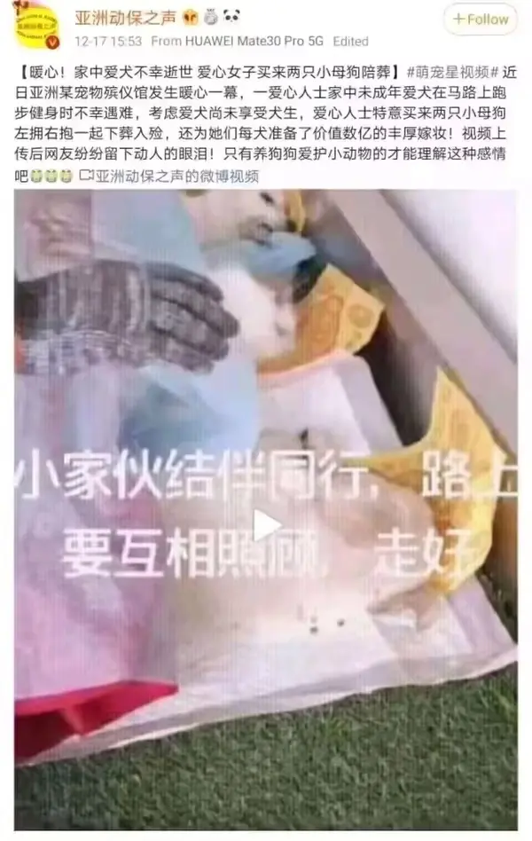 今日沙雕： 不是有首冲奖励吗，怎么我越冲越虚？宣传图71