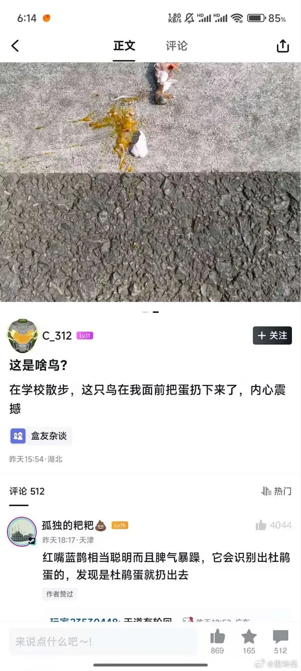 今日沙雕：世界上造假的人那么多，为什么我们的假还是很少？宣传图27