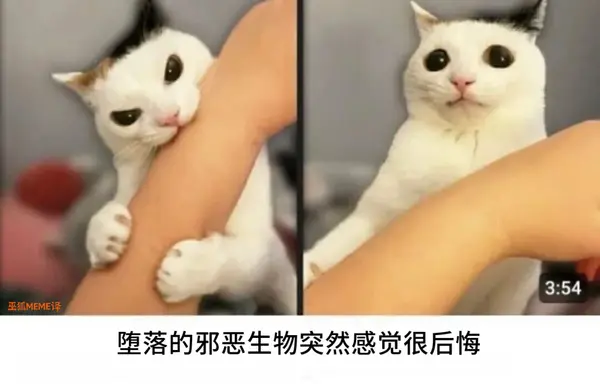 今日沙雕：世界上造假的人那么多，为什么我们的假还是很少？宣传图59