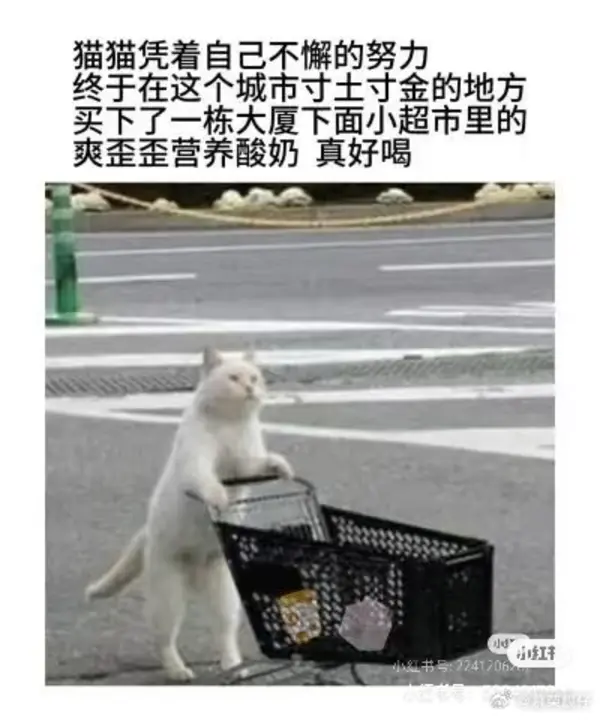 今日沙雕：世界上造假的人那么多，为什么我们的假还是很少？宣传图67