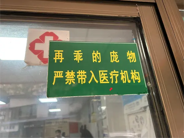 今日沙雕：世界上造假的人那么多，为什么我们的假还是很少？宣传图89