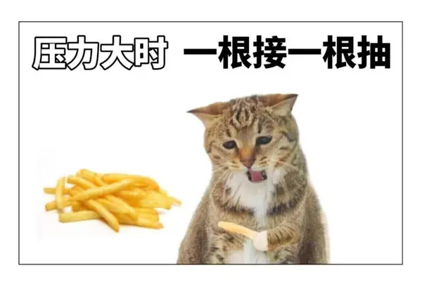 今日沙雕：世界上造假的人那么多，为什么我们的假还是很少？宣传图93