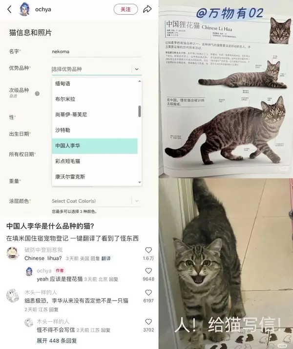 今日沙雕：世界上造假的人那么多，为什么我们的假还是很少？宣传图98