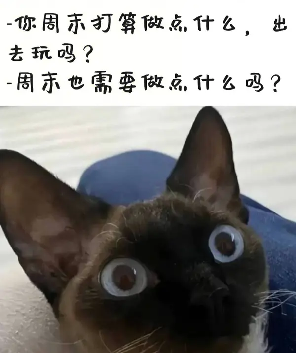 今日沙雕：世界上造假的人那么多，为什么我们的假还是很少？宣传图134