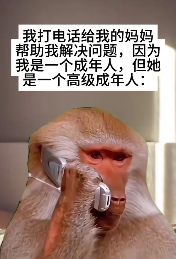 今日沙雕：世界上造假的人那么多，为什么我们的假还是很少？宣传图148